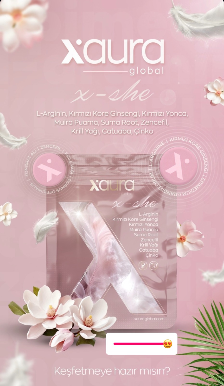 XSHE